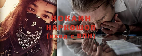 сатива Дмитров