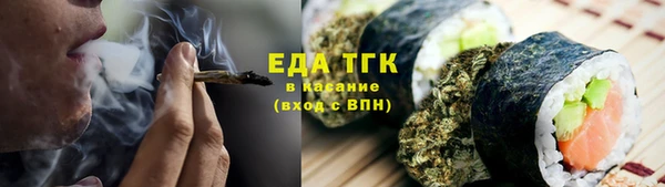 индика Сосновоборск
