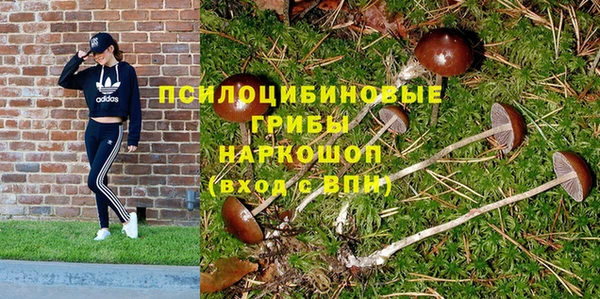 эйфоретик Дмитровск