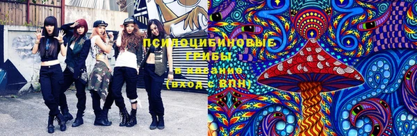 сатива Дмитров