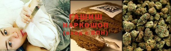 сатива Дмитров