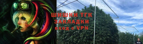 сатива Дмитров