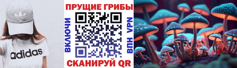 магазин  наркотиков  МЕГА маркетплейс  Псилоцибиновые грибы Psilocybine cubensis  Прокопьевск 