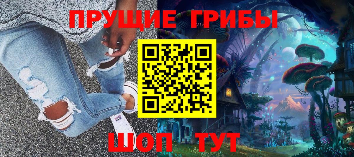 Прокопьевск  Псилоцибиновые грибы Psilocybe  Вход с VPN 