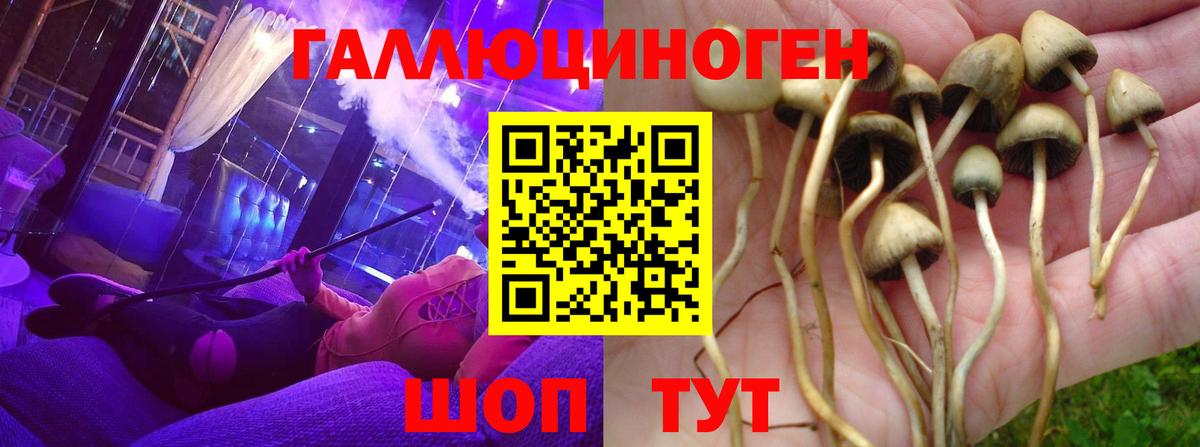 Купить  ЛЁД  Вход с VPN  МЕФ  Cocaine  Ляпка  Прокопьевск  Каннабис 