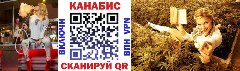 OMG ТОР  Прокопьевск  Марихуана планчик 